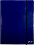 Daco Mapa A4 carton laminat Albastru DACO - Set 10 (MR001A)