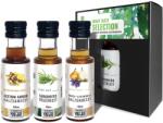 Formanek Vineg'art - Great Taste Selection - Prémium Díjnyertes Ecetválogatás, 3x100ml - egeszsegbolt