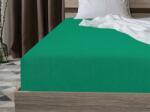 Cearsaf froté PREMIUM mentol 160x200 cm