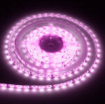 CONLIGHT Kültéri Ledszalag 9, 6W/m Pink 120LED/méter (CON 782 2056)