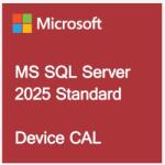 Microsoft SQL 2025 CAL English OEM OLC 10 CLT Device CAL (EP2-58821)