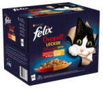 Mars-Nestlé Felix Fantastic Duo - Házias válogatás (marha, csirke, bárány, pulyka) aszpikban (24x85g) (898638)