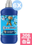 Coccolino Passion Flower öblítő 6x1, 275 liter [306 mosás]