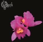 Opeth Orchid - bakelitfutar