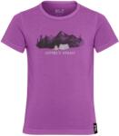 Jack Wolfskin Детска спортна тениска Jack Wolfskin Kid's Hiking Graphic T-Shirt Sport shirt - Print Freesia - размер 104 (EU) (704-5895-0311)