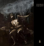 BERTUS Behemoth - I Loved You At Your Darkest (2lp, Clear Coloured Vinyl) (5f4134)