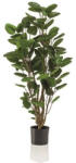 TOTOX Plantă decorativă polyclas, 105 cm