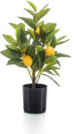 TOTOX Planta decorativă, lămâi, 40cm
