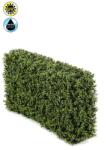 TOTOX Gard viu artificial, 100x20x50cm, UV