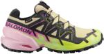 Salomon Дамски маратонки Salomon Women's Speedcross 6 Gore-Tex Trail running shoes - Bog / Dawn Pink / Acid Lime - размер 40 (EU) (123-0974-1617)