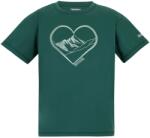Regatta Детска спортна тениска Regatta Kid's Aria Sport shirt - Mediterranea - размер 15-16 Years (704-6359-0318)