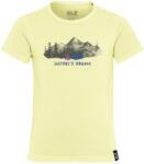 Jack Wolfskin Детска спортна тениска Jack Wolfskin Kid's Hiking Graphic T-Shirt Sport shirt - Print Daisy - размер 164 (EU) (704-5895-0116)