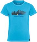 Jack Wolfskin Детска спортна тениска Jack Wolfskin Kid's Hiking Graphic T-Shirt Sport shirt - Print Empire Blue - размер 176 (EU) (704-5895-0217)