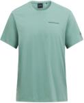 Peak Performance Мъжка спортна тениска Peak Performance Explore Logo Tee T-shirt - Green Valley (216-3251-0611)