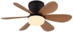 GLOBO 03625H - Ventilator de tavan LED dimmabil DELORES, LED/5W/230V, 2700-6500K, maro + telecomandă (GL8888)