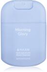 HAAN Morning Glory kéztisztító spray antibakteriális adalékkal Mini 19 ml