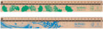 Herlitz Rigla lemn 30cm greenline - Set 12 (50033621)