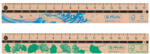 Herlitz Rigla lemn 17cm greenline - Set 12 (50033614)