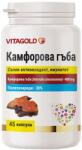 Vitagold Ciupercă de camfor, 45 capsule, Vitagold