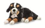 Steiff Originals Senni câine de munte bernese, jucărie de pluș neagră (STF_079528)