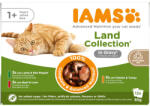 Iams 48x85g IAMS Advanced Nutrition Adult Land mix szószban nedves macskatáp 36+12 ingyen