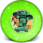 QX Minecraft: Joy műanyag mélytányér (674684) (674684)