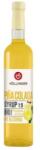Biogast Sirop Pina Colada, Biogast, Bio, 500 ml