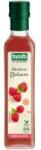 Biogast Otet de Mere si Suc Concentrat de Zmeura Biogast, Bio, 250 ml