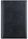 EGO Agenda A5 Zilnica Neagra 2026 Basic Ego (EGOBASICCS10)