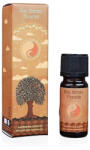 Carnatia Magic Within You illatolaj - Emelkedjen, újuljon, virágozzon (Szent Palo Santo), 10 ml