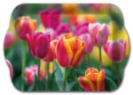 Ach Impex uzsonnás tálca tulipán 21 x 14.3 x 2 cm (M40377)