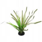 Repti Planet Dekoráció Spartina Fűnövény 30cm (paproc4)