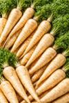  Friss petrezselyem Lengyel aromás 1kg