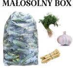  Kissós uborka savanyító szett 10kg Recept Ingyenes! (5903917106573)