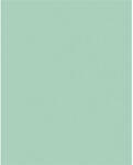  Dekorkarton, 2 oldalas, 50x70cm, 220 g, 10 lap, FOLIA, menta (61221025) - eztkapdki