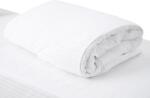 Heinner Home Cearceaf de pilota Heinner Home Damasc, 100% bumbac, 150 GSM, 250 TC, dungi satinate 1 cm, 180 x 210 cm (HRPL-DVSHEET-180)