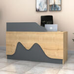 TopMebel Lione TopMebel меламиново рецепция бюро в цвят дъб - антрацит 160x60x100cm