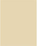  Dekorkarton, 2 oldalas, 50x70cm, 220 g, 10 lap, FOLIA, bézs (61221010) - eztkapdki