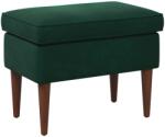 vidaXL Taburet Verde închis 55 x 35 x 41 cm Catifea GartenMobel Dekor (42029997)