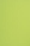 Sirio Color Hârtie decorativă colorată simplă Sirio Color 115g Lime verde deshis buc. 50A5