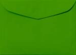 Apla Plicuri decorative colorate B6 12, 5x17, 5 NK Apla verde deschis 80g