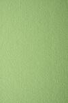Prisma Hârtie decorativă colorată texturată Prisma 220g Pistacchio verde 70x100 R100 1 buc