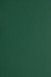 Plike Hârtie decorativă colorată simplă Plike 330g Green verde închis buc. 10A5