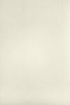 Aster Laid Hârtie decorativă colorată cu nervuri texturate Aster Laid 120g Ivory ecru 70x100 R200 1 buc