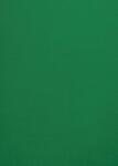 Malmero Hârtie decorativă simplă colorată Malmero Amazone 120g verde 70x100 R250