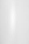 Aster Metallic Hârtie decorativă colorată metalizată Aster Metallic 120g White alb buc. 10A4