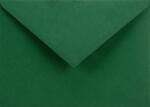 Sirio Color Plicuri decorative colorate C6 11, 4x16, 2 NK Sirio Color Foglia verde închis 115g