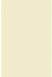 Olin Hârtie simplă decorativă Olin 120g Regular Soft Cream ecru buc. 50A4