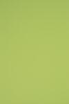Rainbow Hârtie decorativă colorată simplă Rainbow 230g R74 verde deshis buc. 20A4