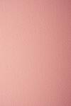 Prisma Hârtie decorativă colorată texturată Prisma 220g Salmone somon 70x100 R100 1 buc